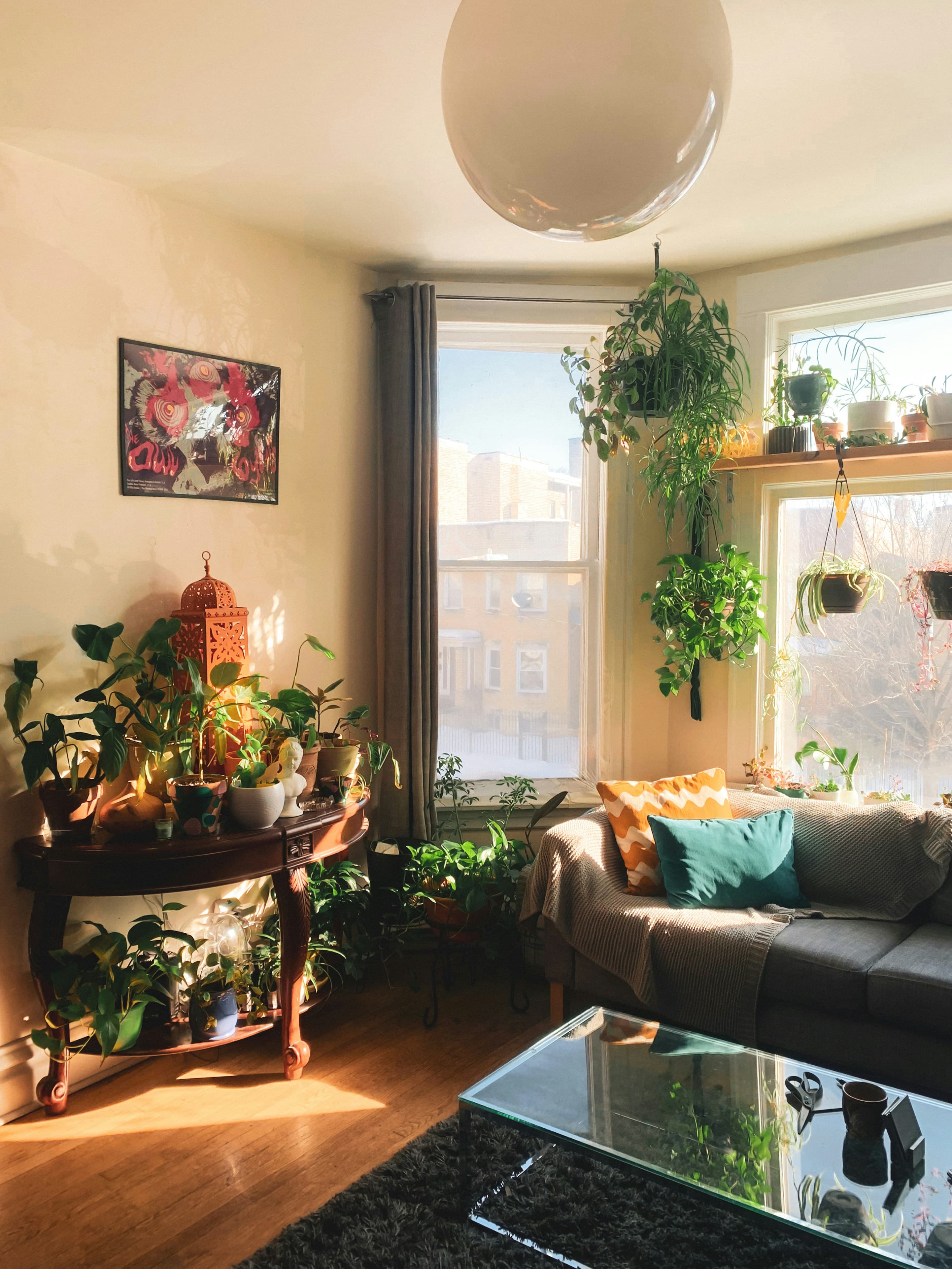 A cozy appartment with a sofa, a coffee table and some plants